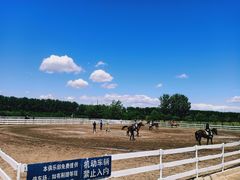 -月河湾马术俱乐部(朝阳店)