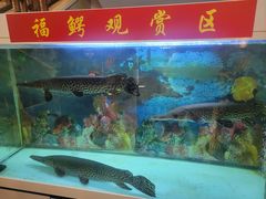 -匹夫涮肉城(黄村店)