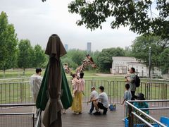 -合肥野生动物园