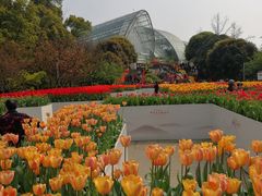 -南山植物园