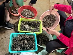 -双喜农庄·菌香园(安居家园店)