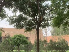 -北京大葆台遗址博物馆