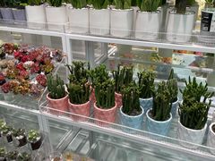 -KKV(常州新北万达广场店)