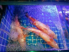 -阿湾楼·温州海鲜·江浙菜(京江路店)