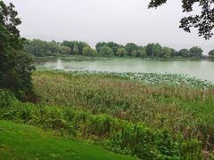 -上海市保健医疗中心