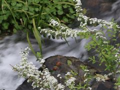 -中国茶叶博物馆(双峰馆区)