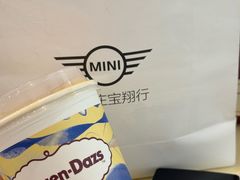 -哈根达斯(石家庄北国店)