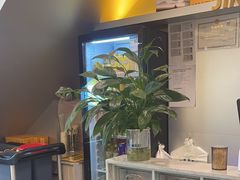 -金柱大盘鸡(南门店)