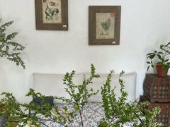 -上海鲜花港