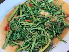 炒含羞草-建兴酒家(萨木亚店)