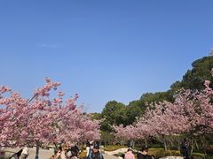 -新江湾城公园