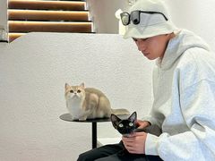 -琪喵猫屋·撸猫猫咖·猫舍
