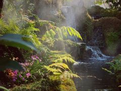 -Chom Cafe and Restaurant