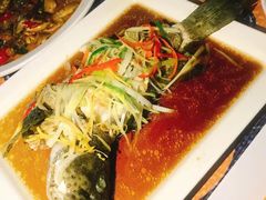 蒜蓉豆豉蒸鲈鱼-光海鲜鱼翅餐厅(叻差拉披色路店)