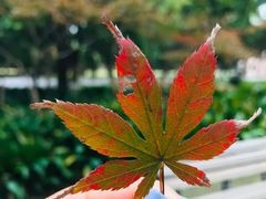 -上海市龙华烈士陵园