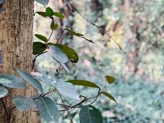 -南山风景名胜区