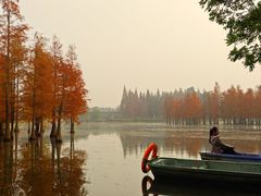 -白鹭湾湿地公园