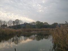 -西湖风景区-江洋畈生态公园