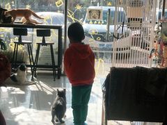 -平行世界·猫咖(首经贸店)