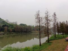 -怡海公园(桂城街道)