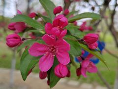 -元大都城垣遗址公园