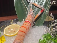 -牛New寿喜烧(金茂览秀城店)