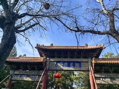 -中岳庙