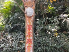 -深圳野生动物园