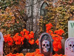 -大连海昌发现王国主题公园