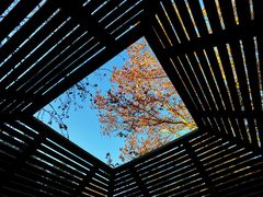 -春晖园度假酒店温泉