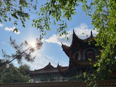 -哈尔滨极乐寺