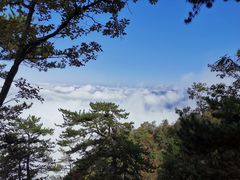 -塔云山