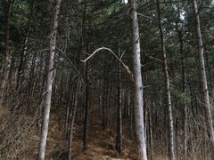 -云蒙山风景区