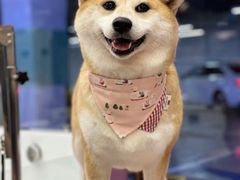 -FAELING PETS美天灵宠物(富力广场店)