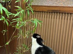 -原田新料理(1912店)