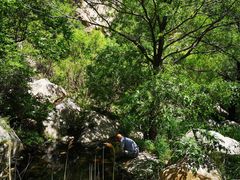 -碓臼峪自然风景区