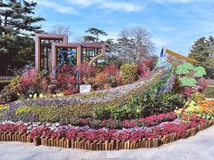 -苏州公园(双塔街道)