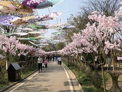 -武汉紫薇都市田园