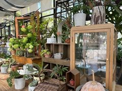 -北马山庄植趣咖啡