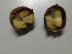 iphone_upload_pic-黑孩油栗皇(南阳路店)