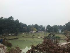 -铁山坪森林公园