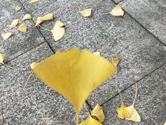 -百林公园-两江幸福广场