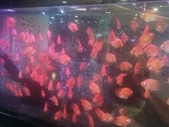 -味界·精致赣菜(招商花园城店)
