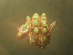 -上海当代艺术博物馆