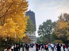 -玲珑塔公园
