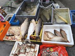 -大马弄蒋师傅美食酥鱼(察院前店)