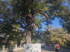 -北陵公园