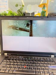 -章光101防脱养发荟