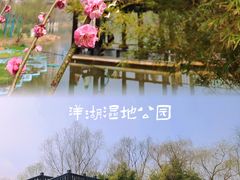 -洋湖国家湿地公园