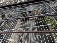 -东莞香市动物园
